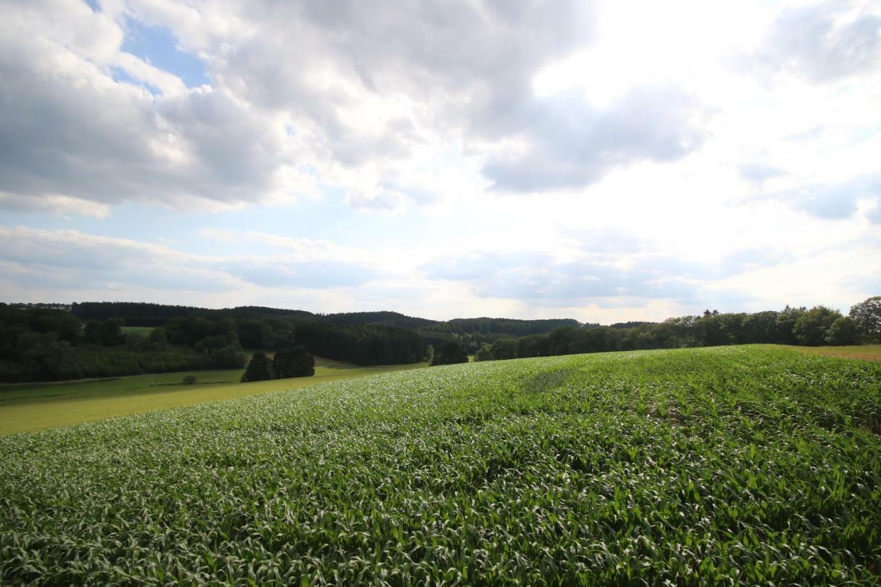Kleines Haus Mitten In Der Natur Mit Eigener Terrasse Und Sonnenbalkon Halver Buitenkant foto